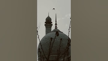 Thumbnail of Nasheed The Sins | Muhammad Al Muqit #shorts