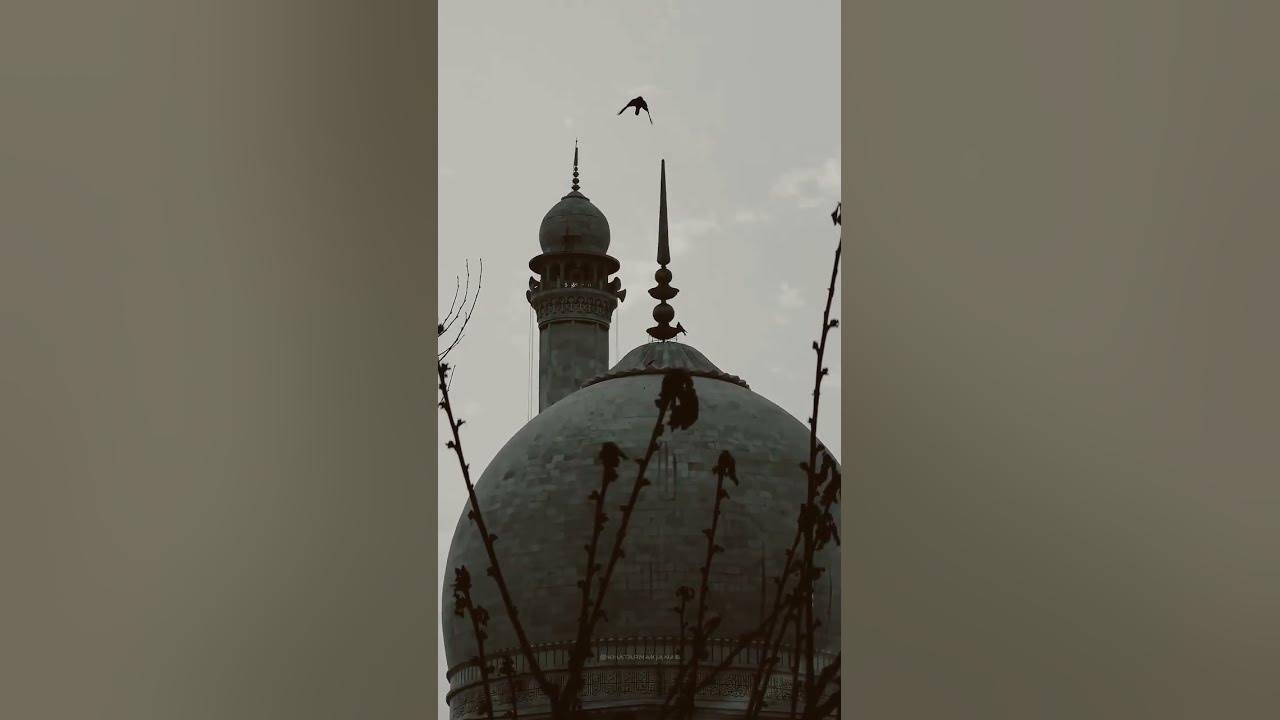 Nasheed The Sins | Muhammad Al Muqit #shorts