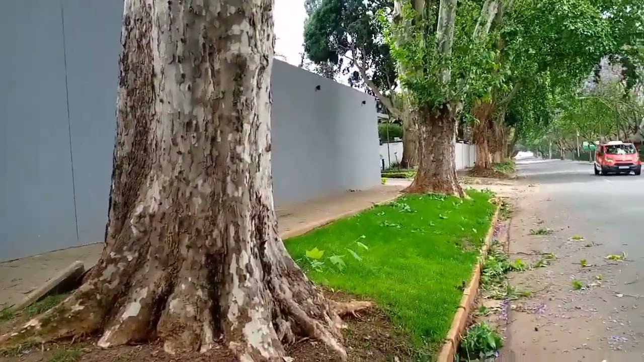 walking to Houghton residential area Johannesburg south Africa 🇿🇦🌍