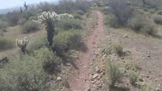 Az Dirt Bike Good Landscape Flow