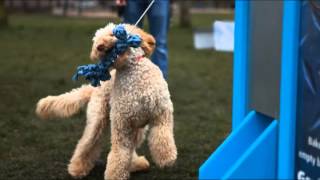 FRANK PR - BAKERS DOGGY VENDING MACHINE