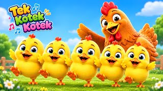 Download lagu Lagu Anak Anak | Tek Kotek Kotek | Tek Kotek Kotek Ayam | Lagu Anak Indonesia Terbaru
