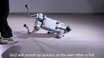 Unitree Go2 Pro AI Mode video