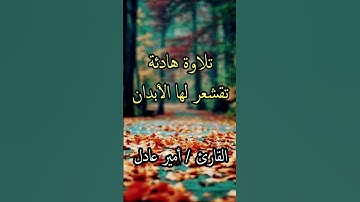 تلاوة هادئة تقشعر لها الابدان | القارئ امير عادل ❤🎧