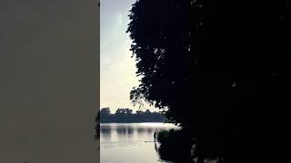 Download Lagu Etridi - Sepenuh Hati #music #musica MP3