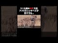 アフリカニシキヘビ #蛇 #生態解説 #雑学