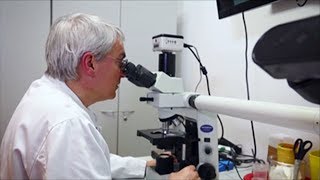 Helios klinikum erfurt hematology, stem cell transplantation and oncology