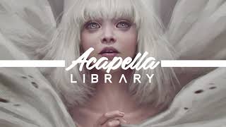 Sia  Hey Boy Feat Burna Boy acapella  Vocals Only