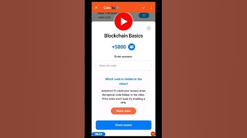 Blockchain basics +5000 free cats code | today cats video code | cats task answer #cats