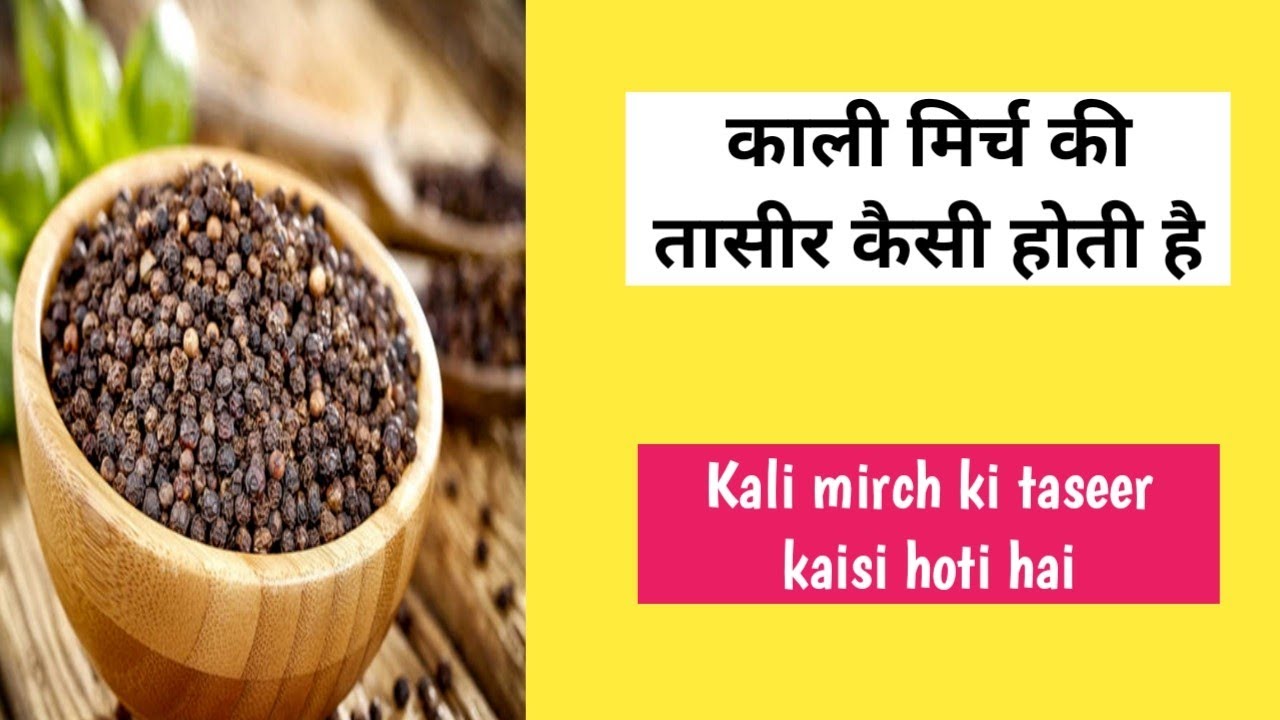 Kali mirch ki taseer kaisi hoti hai काली मिर्च की तासीर कैसी होती है