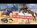 WESTERN Barrel HORSE Gets An ENGLISH MAKEOVER!!!
