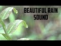 Beautiful rain sounds.relaxing sounds