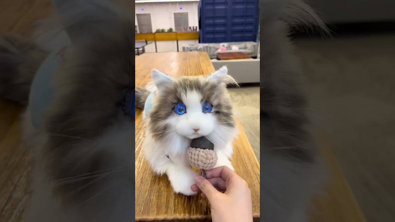 Lifelike robotic cat deals