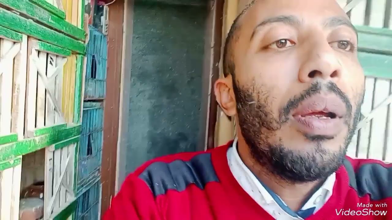 النهارده اول يوم لفتح الحمام من البلكونه اللي رمي التماسي اللمبي ابو فارس