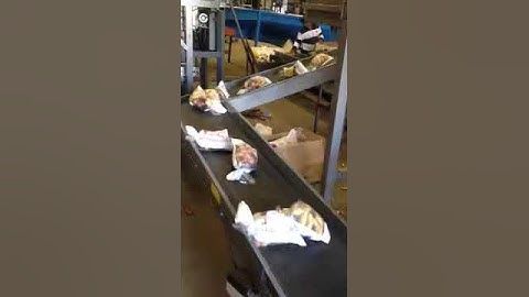 Bagged Potatoes on Conveyor