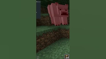 #exloader #aristois #undetected #hvh #minecarft #cheats #hacks #cheatclient #1.21.4 #hackedclient