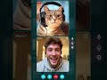 Unbelievable! My Cat Taught Herself to Use Zoom/FaceTime! 🤯 (She Has a Meeting #cat #Video ##amazing
