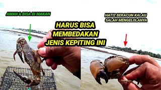Wajib Tau  Harus Bisa Membedakan Jenis Kepiting Ini