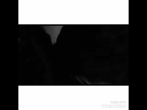 حالات واتس اب اليسا ساعات اقوي مشهد رومانسي حزين