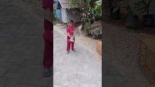 Joki Kecil Merpati Kebutan Yang Lucu