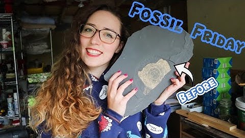 Fossil Friday - Lets Prep A Golden Ammonite I found! :D