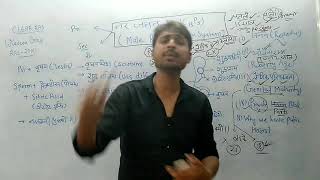 Details नर जनन तंत्र c13p5 ras science video-नर जनन अंग के कार्य News