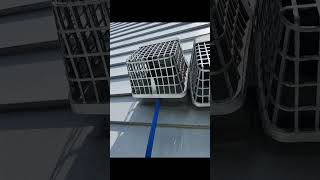 Green and Clean Home Services | Dryer vent blockage removed! 📞 216-446-2626 #DryerVentCleaning