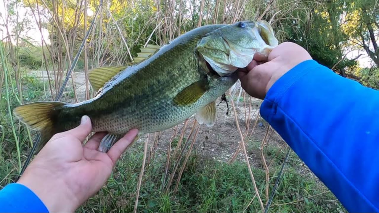 Fishing Crescent Bend for Big Bass