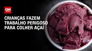 Crianças fazem trabalho perigoso para colher açaí | CNN PRIME TIME