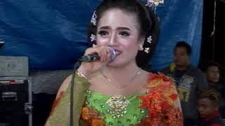 supra nada erin egois jambon 75 putu kromo
