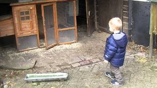 SANY0274.MP4