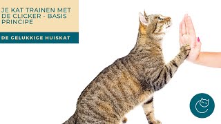 CLICKER TRAINING MET JE KAT, DEEL 1 De gelukkige huiskat | Kattengedrag