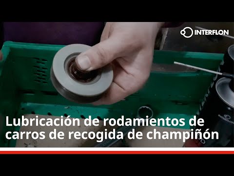 Lubricación de rodamientos de carros de recogida de champiñón