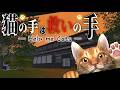 【猫の手は救いの手】ヤバい時は猫が幽霊から助けてくれる！