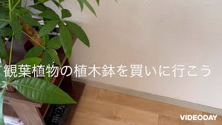 リーマンの休日〜植木鉢を買いに行こう〜