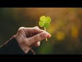 УЛЫБНЁТСЯ ЛИ УДАЧА?🍀СТОИТ ЛИ РИСКОВАТЬ?