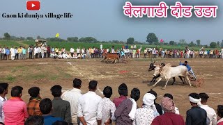 All videos of bullock cart race competition Uda Harda.oxrace. bailgadi Doud. indian cow. khillar ... screenshot 1