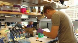 Are you into science? Watch Guy