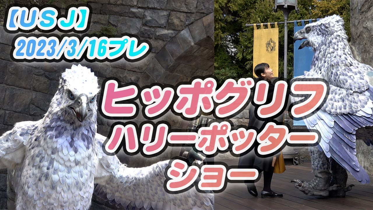動画を再生