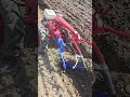 Мотоблок Беларус пашет легко и самостоятельно. #мотоблок #агротехнологии #farming