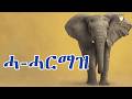 Taha ጣሃ Mezmur Hxanat ፊደል ሐ Fidel He Tigrinya Kids Song