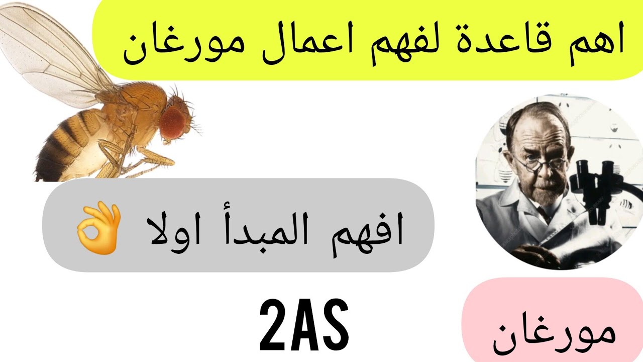 📌واش ولازم تعرف قبل متبدا تقرا اعمال مورغان ⁉️في دقيقتين درتلكم اهم قاعدة لدرس مهم عندكم😎 2As🥰🤍