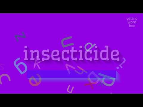 Video: Muskiete is bloedsuiende insekte. Beskrywing en verspreiding van muskiete