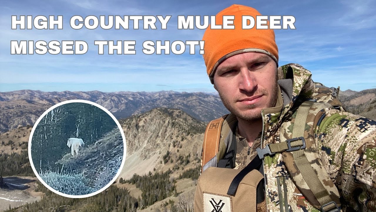 Idaho High Country Mule Deer Hunt Missed The Shot! Bonus Mountain Goat Spotted! YouTube
