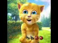 النملة و الصرصور اغاني اطفال طيور بيبي Toyorbaby جنجر المتكلم عصافير الجنة 