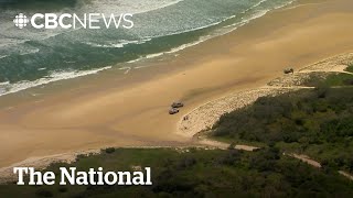 Canadian Tourist Found Dead In Australia, Body Surrounded By Dingoes