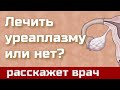 Лечить уреаплазму или нет?