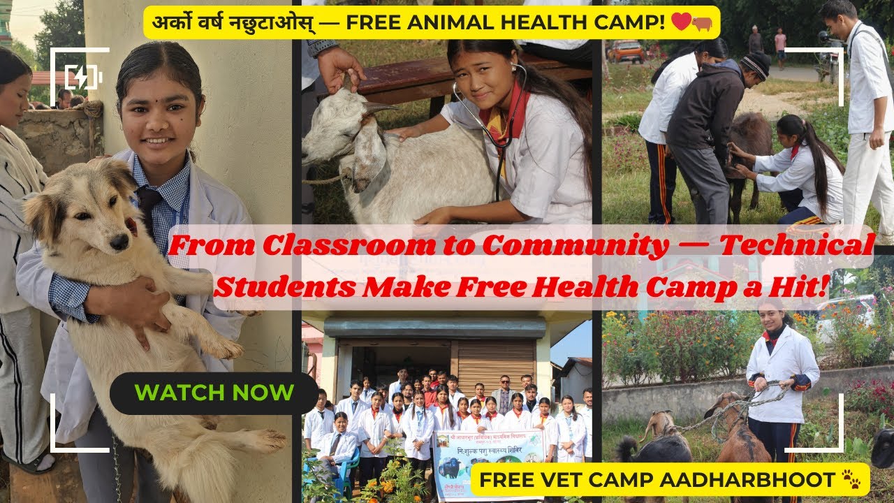 अर्को वर्ष नछुटाउनुहोला — Free Animal Health Camp! ❤️🐂 [FREE Vet Camp Aadharbhoot 🐾] 