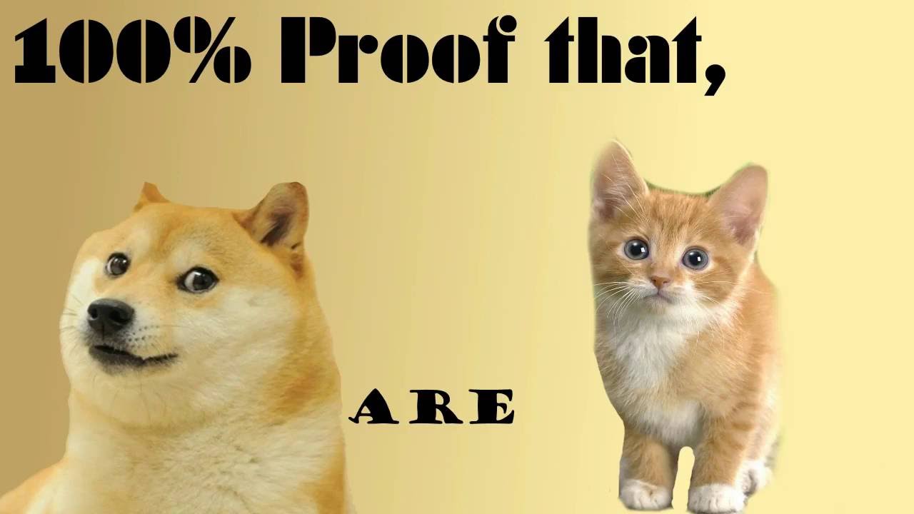 100% that - Cats are Dogs! - YouTube