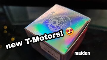 Velox Veloce V2 0 Ultra Violence